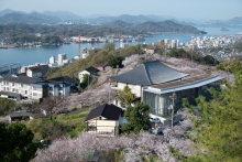 頂上の展望台からの風景です　満開まではあともう一歩といった感じです