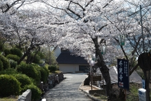 千光寺へと続く参道