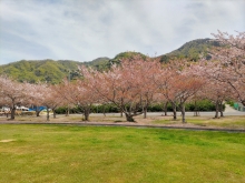 瀬戸田サンセットビーチ