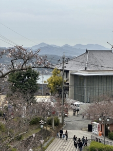 後方に見えるのは尾道市立美術館です