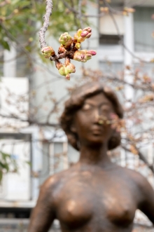 ふっくらとした緑色のつぼみも