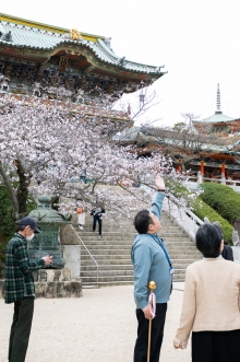 ガイドツアーの様子