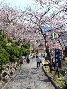 風邪は少し寒いので温かい服装でお出かけください