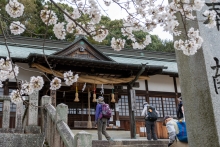 拝殿のしめ縄が特徴的です