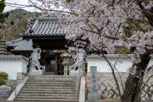 薬師寺の山門付近