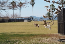 サンセットビーチ1