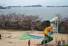 シトラスパーク1