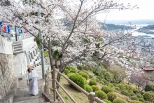 しばらく見ごろが続きそうです