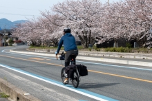 瀬戸田サンセットビーチ付近