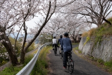 多々羅大橋付近の様子