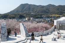 未來心の丘からの景色