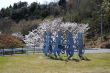 シトラスパーク