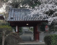 向上寺