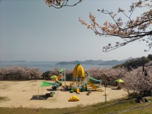 シトラスパーク