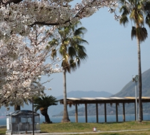 サンセットビーチ